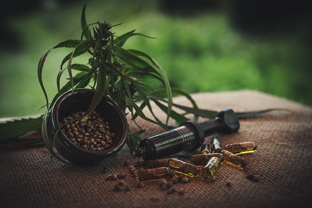 De wonderlijke wereld van CBD olie: gezondheidsvoordelen en misvattingen ontrafeld